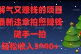 既解气又赚钱的违章拍照项目 随手拍交通违规即可获额外收益