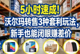 5小时沃尔玛转售3种套利玩法教程 新手零基础可上手赚差价