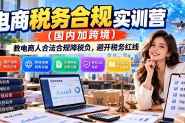国内跨境电商税务合规实训营 教卖家合法降税负避税务红线