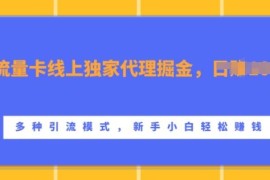 2024流量卡线上独家代理实操教程 新手可上手多模式引流玩法
