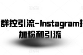 Instagram群控引流实操指南 批量加粉及工具配置全流程教学