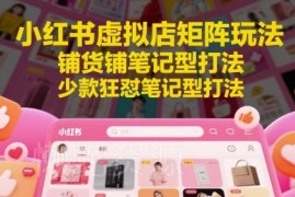 小红书虚拟店矩阵玩法详解 铺货及少款狂怼笔记实操教程