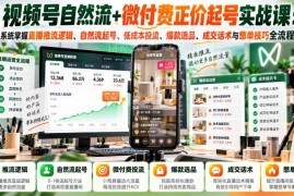 视频号自然流+微付费正价起号教程 掌握直播全流程运营技巧
