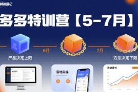 2025拼多多运营特训营实操教程 店铺起店玩法技巧合集
