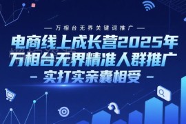 2025电商线上成长营 万相台无界关键词与精准人群推广实操课