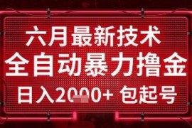 2024年6月全自动直播撸金项目 包起号稳定日入可批量矩阵操作