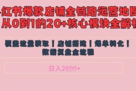 小红书店铺精细化运营教程 爆款笔记涨粉变现核心逻辑拆解