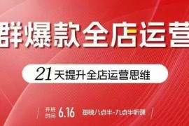 贾真21天电商全店运营课 从选品起店到群爆款打造实操教学