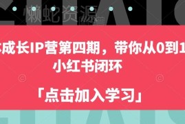 自媒体成长IP营第四期教程 从零到一跑通小红书运营全闭环