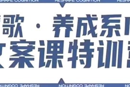 养成系IP文案课特训营教程 打造核心文案力实现高效成交