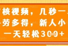 视频审核员正规兼职项目介绍 无时间地点限制多劳多得易上手