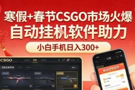寒假春节CSGO饰品市场火爆 小白用手机搭配自动工具即可盈利