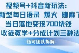 视频号+抖音新型每日语录玩法 收徒分成三类变现模式详解