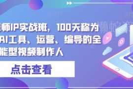 高薪剪辑师IP实战班 100天掌握拍剪AI工具运营编导全技能