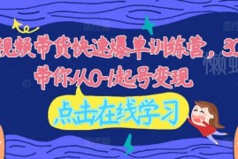 2024视频带货30天爆单训练营 从0到1起号变现全流程教学