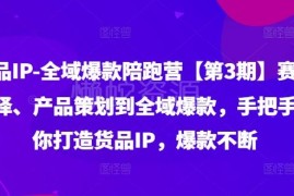 货品IP全域爆款陪跑营第3期 从选赛道到打造爆款全流程教程