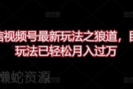 微信视频号狼道内容玩法详解 实操落地可实现月入过万