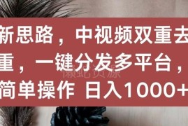 中视频双重去重一键分发方法 多账号运营赚收益实操教程