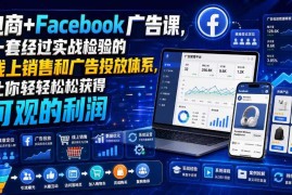 经实战检验的电商Facebook广告课 搭建成熟线上销售盈利体系