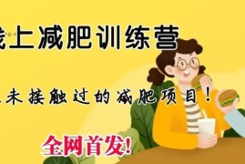 线上减肥训练营怎么做 低门槛操作实现月入五位数方法揭秘