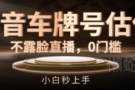 抖音不露脸车牌号估值直播项目 零门槛小白可快速上手操作