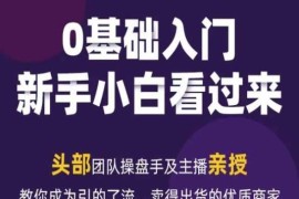 2024新媒体流量变现运营教程 商家引流带货实操学习指南