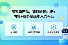 高客单二手奢侈品 依托小IP+内容+服务年入6000万实操攻略