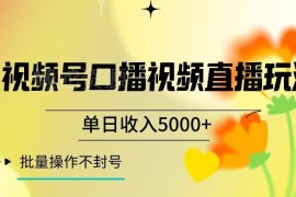 视频号口播直播实操玩法 可批量操作不封号的稳定变现教程