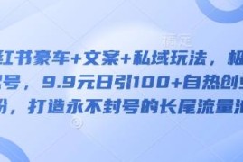 小红书豪车文案私域玩法教程 极速起号引流创业粉打造长尾流量池