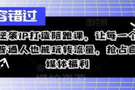 2024普通人逆袭IP打造陪跑课 抖音自媒体运营涨粉变现教程