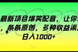 2024龙年方言搞笑配音副业教程 零基础可做多渠道收益涨粉