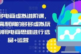 拼多多虚拟电商进阶课 高利润玩法选品运营全流程实操教学