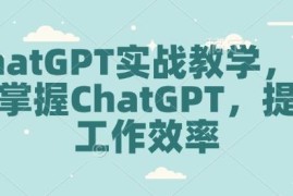 ChatGPT全套实战教学 多场景操作指南助力快速提升工作效率