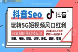 抖音SEO引流运营培训课程 掌握搜索排名技巧获取精准流量变现