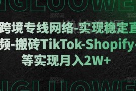 跨境专线稳定网络使用指南 助力TikTok等海外业务实现月入2W+