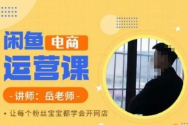 岳老师闲鱼电商运营课 零基础学开闲鱼网店全流程实操课程