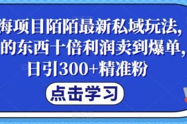 陌陌最新私域引流玩法拆解 低成本获客高利润卖货实操教程
