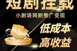 2023抖音快手短剧推广变现教程 低成本短视频蓝海项目实操课