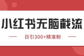 小红书同行截流获客野路子玩法 精准引流实操技巧全解析