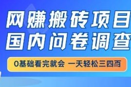 国内问卷调查网创搬砖项目详解 小白易上手日入可达三四百