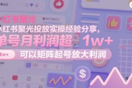 小红书聚光投放实操经验分享 单号月利润超1万可矩阵放大收益