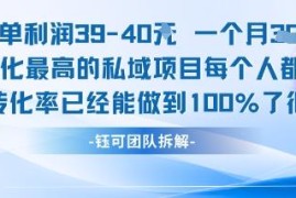 家庭刚需类高转化私域项目解析 每单利润40月入可达7000+