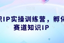 知识IP实操训练营全流程 多赛道知识IP从定位到变现孵化指南