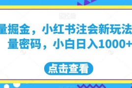 小红书注会蓝海赛道虚拟资料变现玩法 低门槛小白可日入千元