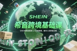 SHEIN希音卖家入门实操指南 新手入驻运营全流程教程