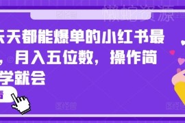 2024小红书最新爆单玩法详解 操作简单易上手可实现月入五位数