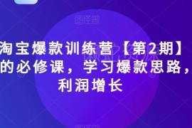 2023淘宝爆款训练营第2期 电商运营必修课 学习爆款思路实现利润增长