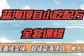无经验可做的蓝海小吃配方全套课程 新手看完直接上手单人日入过千