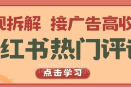 小红书热门评论变现玩法拆解 涨粉接广告获高收入实操指南
