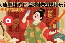 大唐胖妞对口型爆款短视频玩法 零基础快速起千粉万粉账号